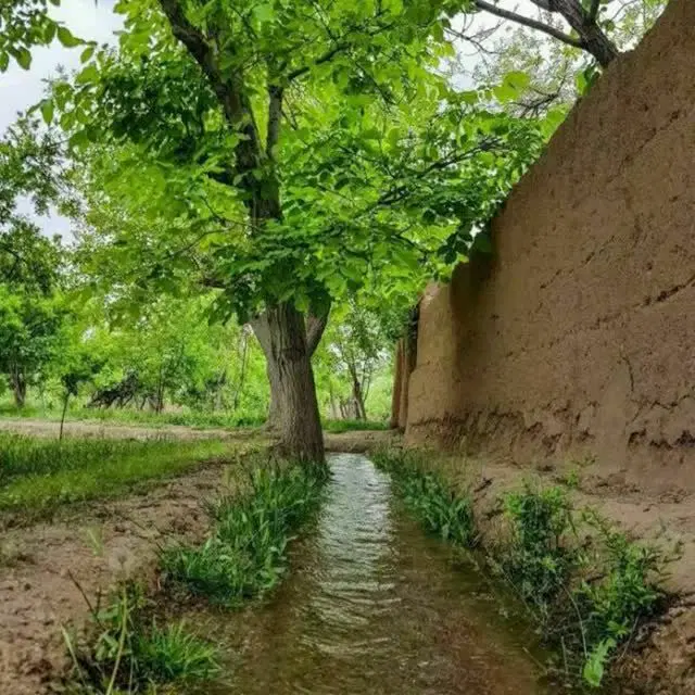 یک واحدهمکف در شهرک بسیجیان، اجاره داده میشود