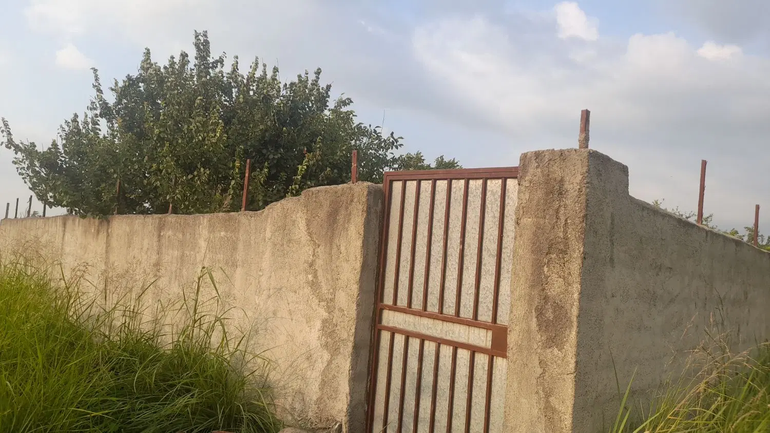 باغ انار ۸ساله ودارای آب چاه کشاورزی