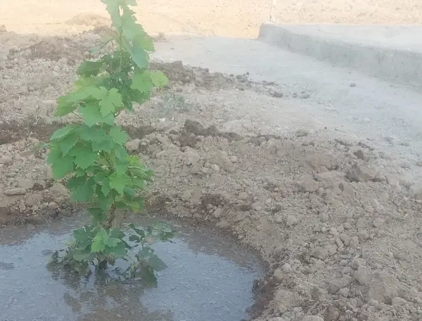 زمین با استخر ۵ در ۷