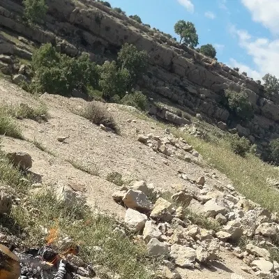 زمین کشاورزی مناسب خانه باغ طرح