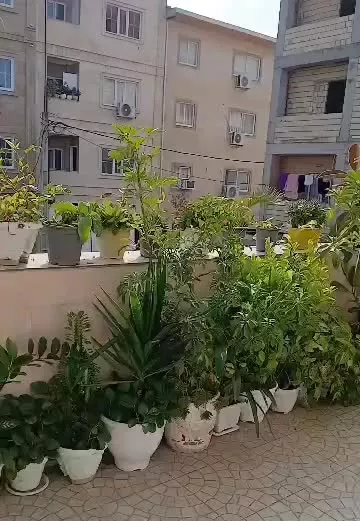 اجاره روزانه اپارتمان دوخوابه وسویت تک خواب
