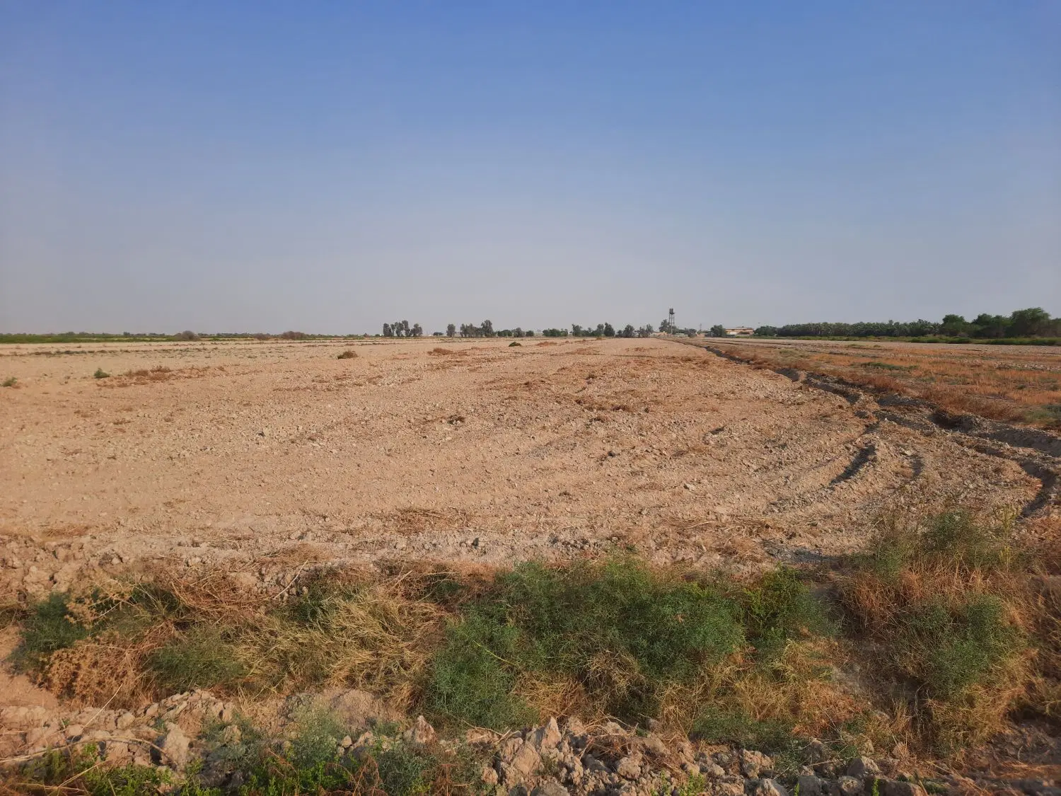 زمین کشاورزی