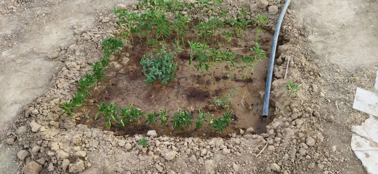 باغ گاوخونه معاوضه با موتور