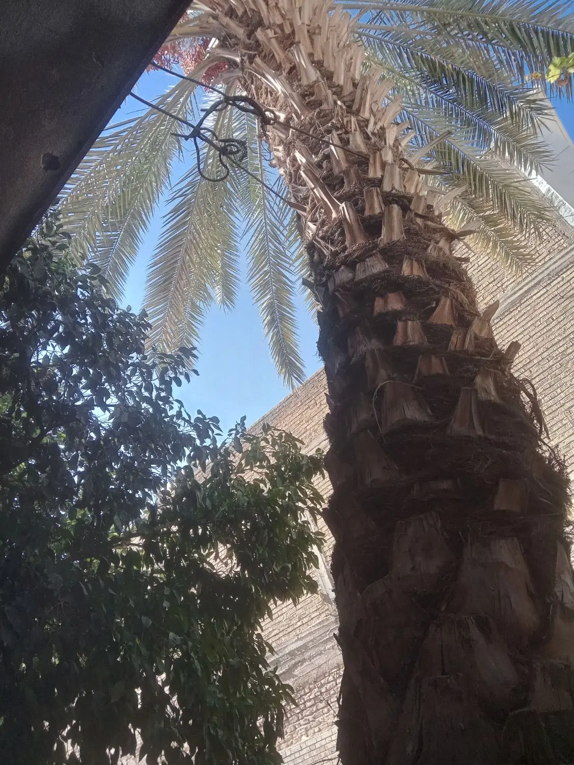 فروش منزل ویلایی