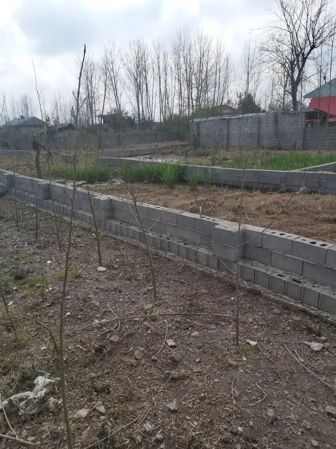 فروش زمین باغی