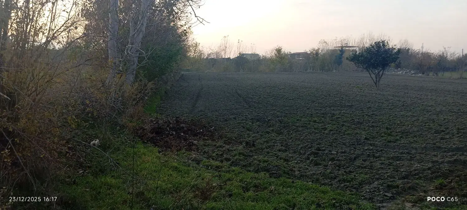 زمین کشاورزی