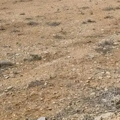 زمین ۳۰۰متری دانش ۳