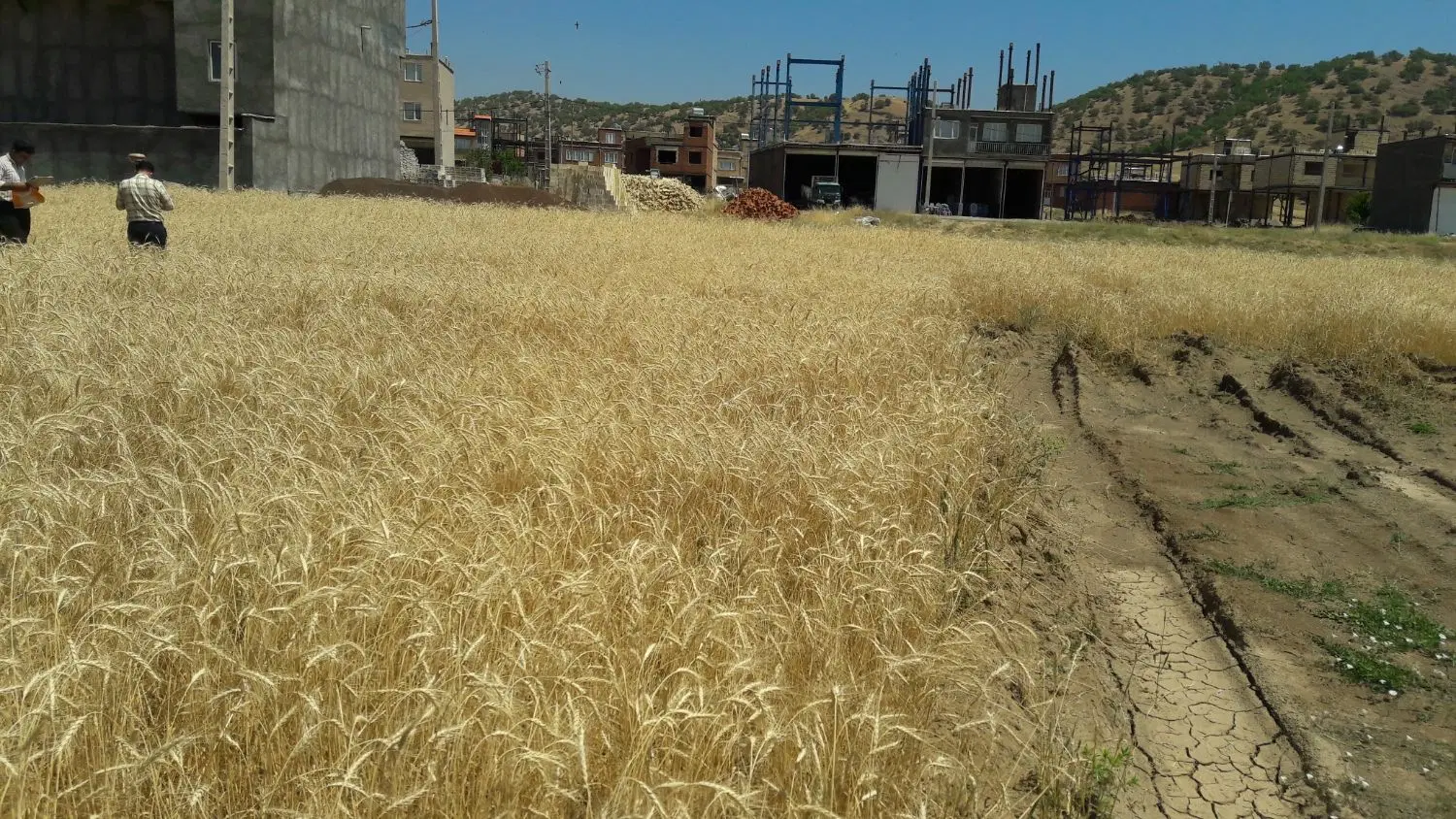 زمین حسن آوله خوب آینده دار وموقیت خوب برای سکونت