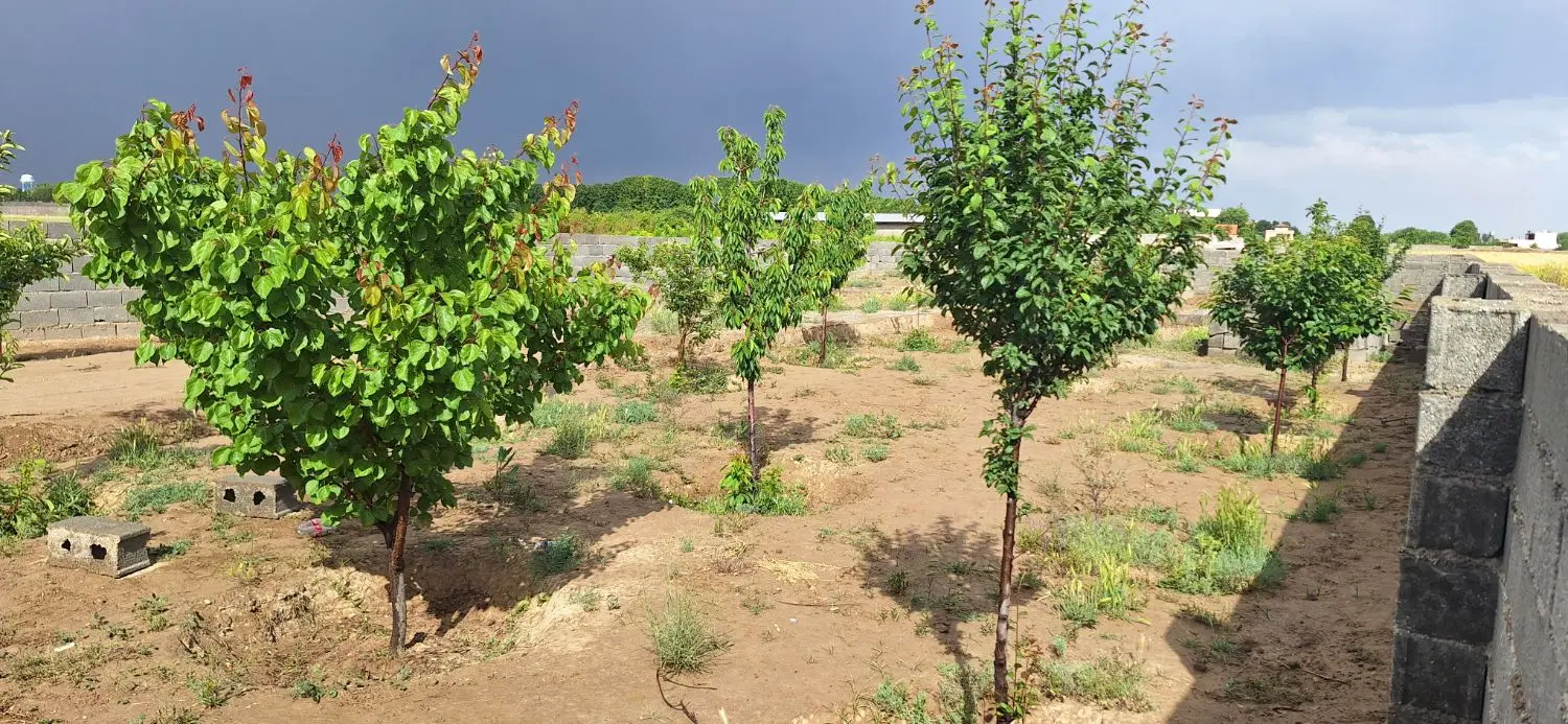 باغچه ۵۰۰ متری تهراندشت