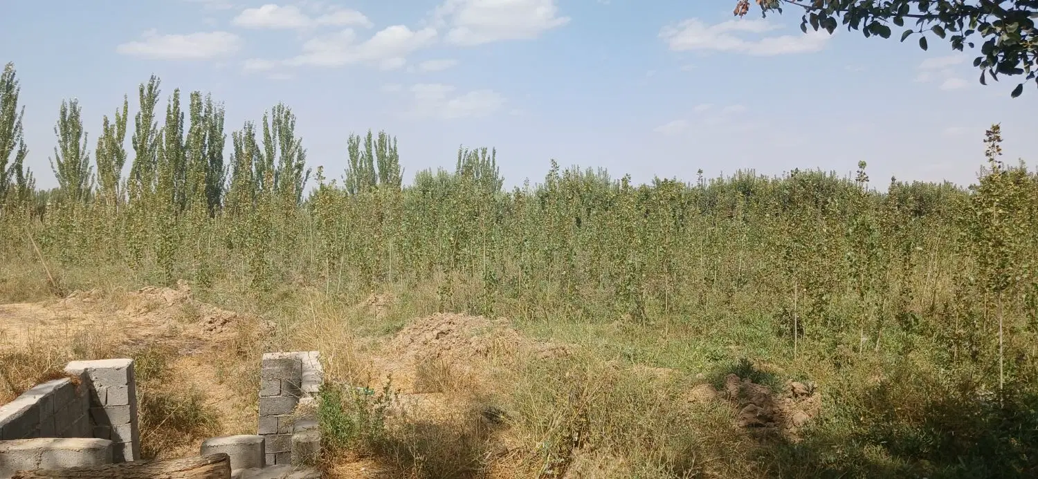 فروش زمین کشاورزی
