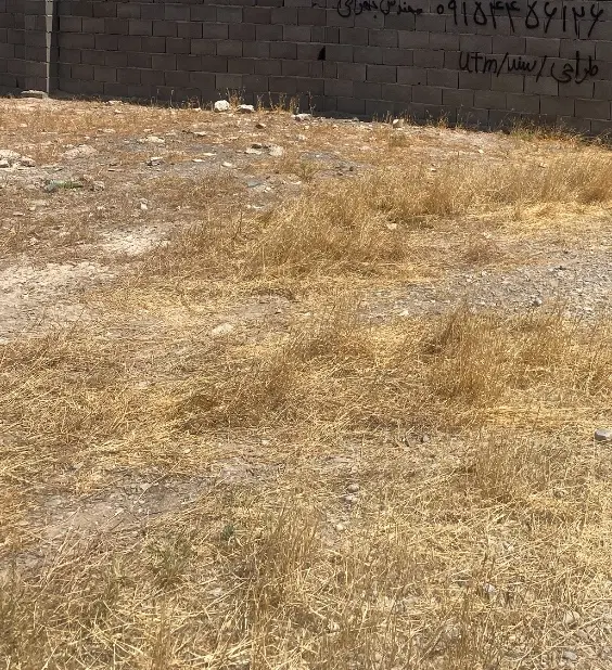 فروش زمین در خیابان نیلوفر گرمه