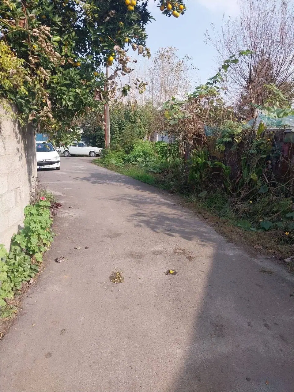 فروش زمین مسکونی