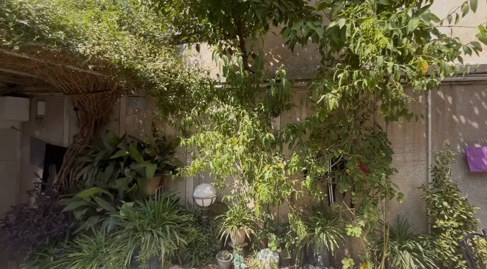ملک کلنگی
