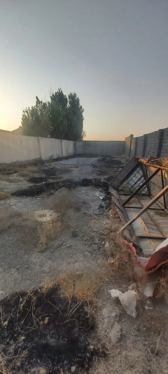 زمین باغی