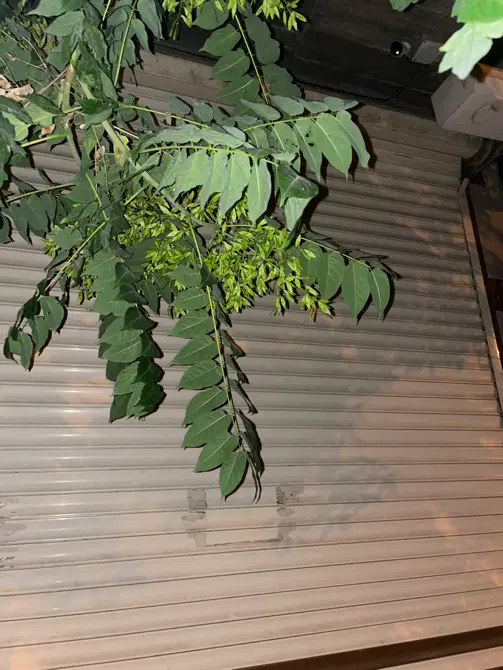 فروش مغازه بسیار لوکس