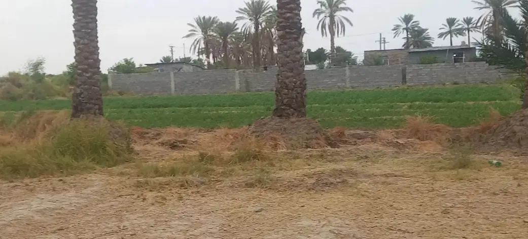 زمین فروشی