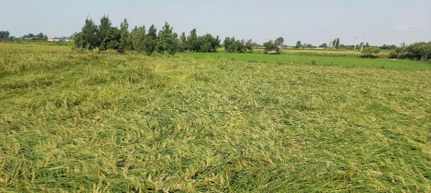 فروش زمین