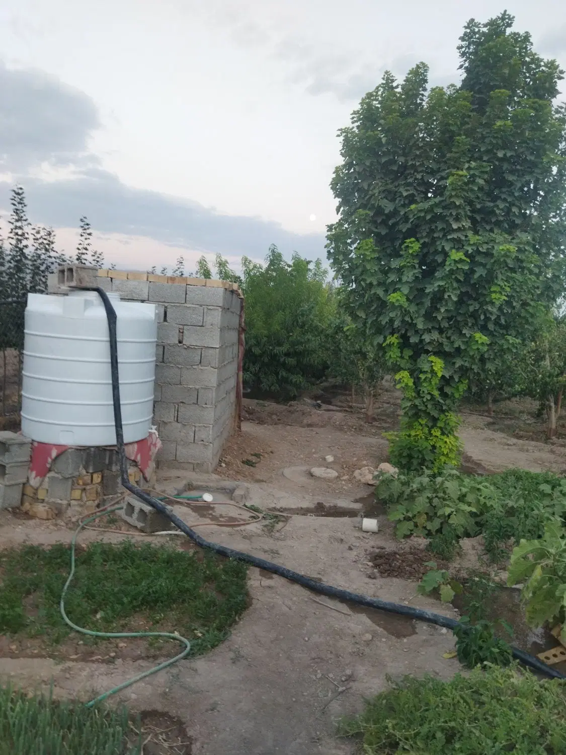 فروش باغ