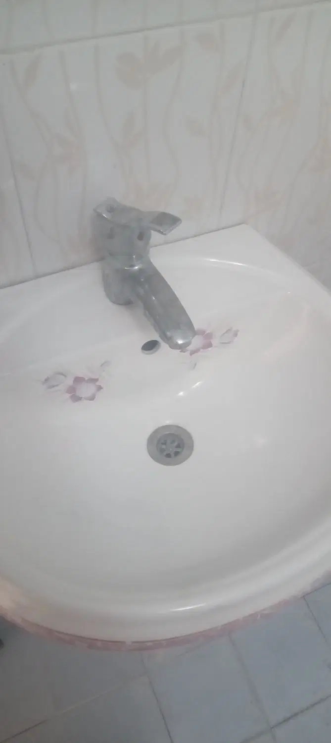 همخونه خانم