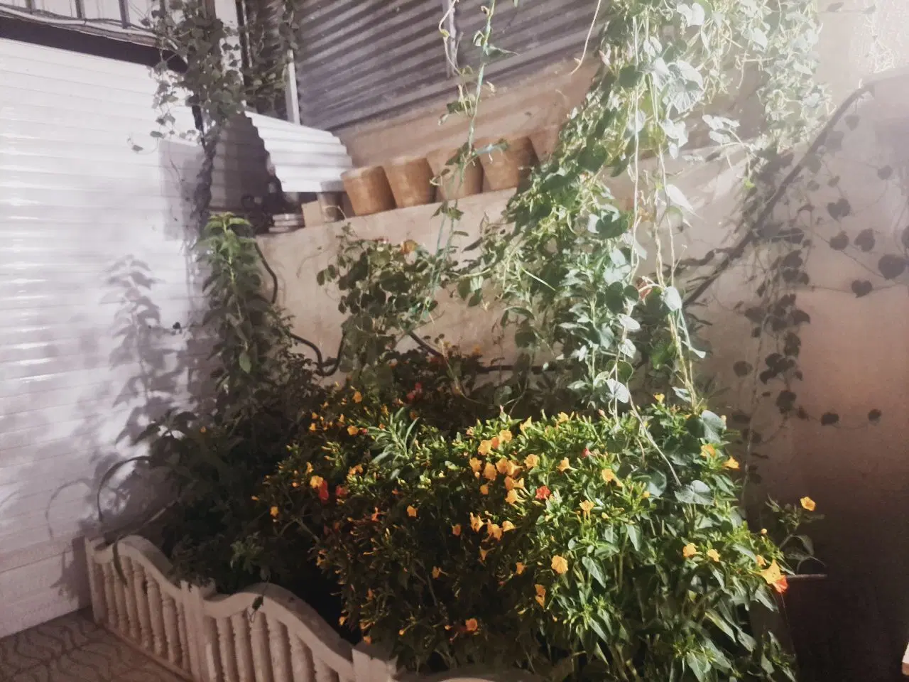 خانه ویلایی بلوار