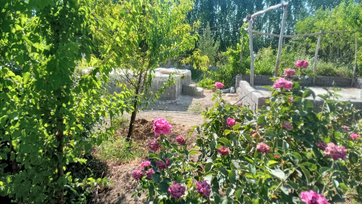 باغ ویلا