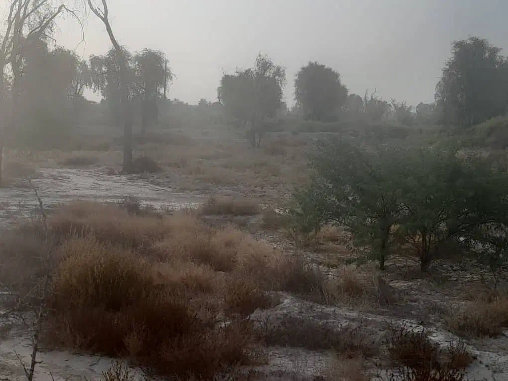 زمین کشاورزی ایسین