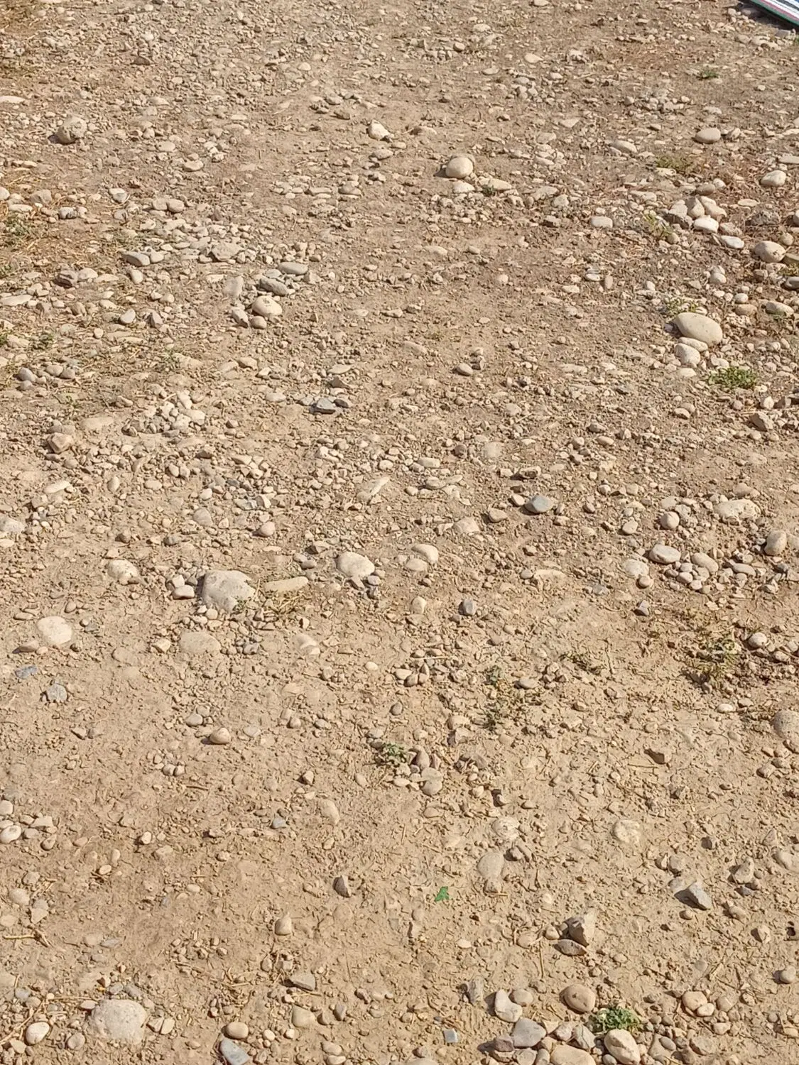 زمین فروشی آماده ساخت