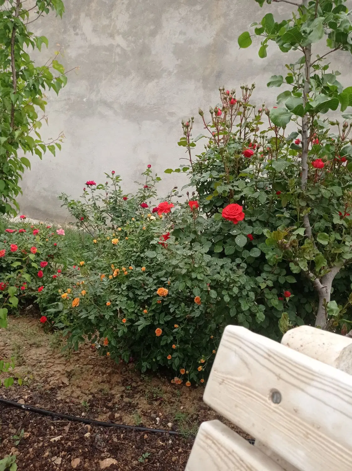 فروش خانه ویلایی روستایی