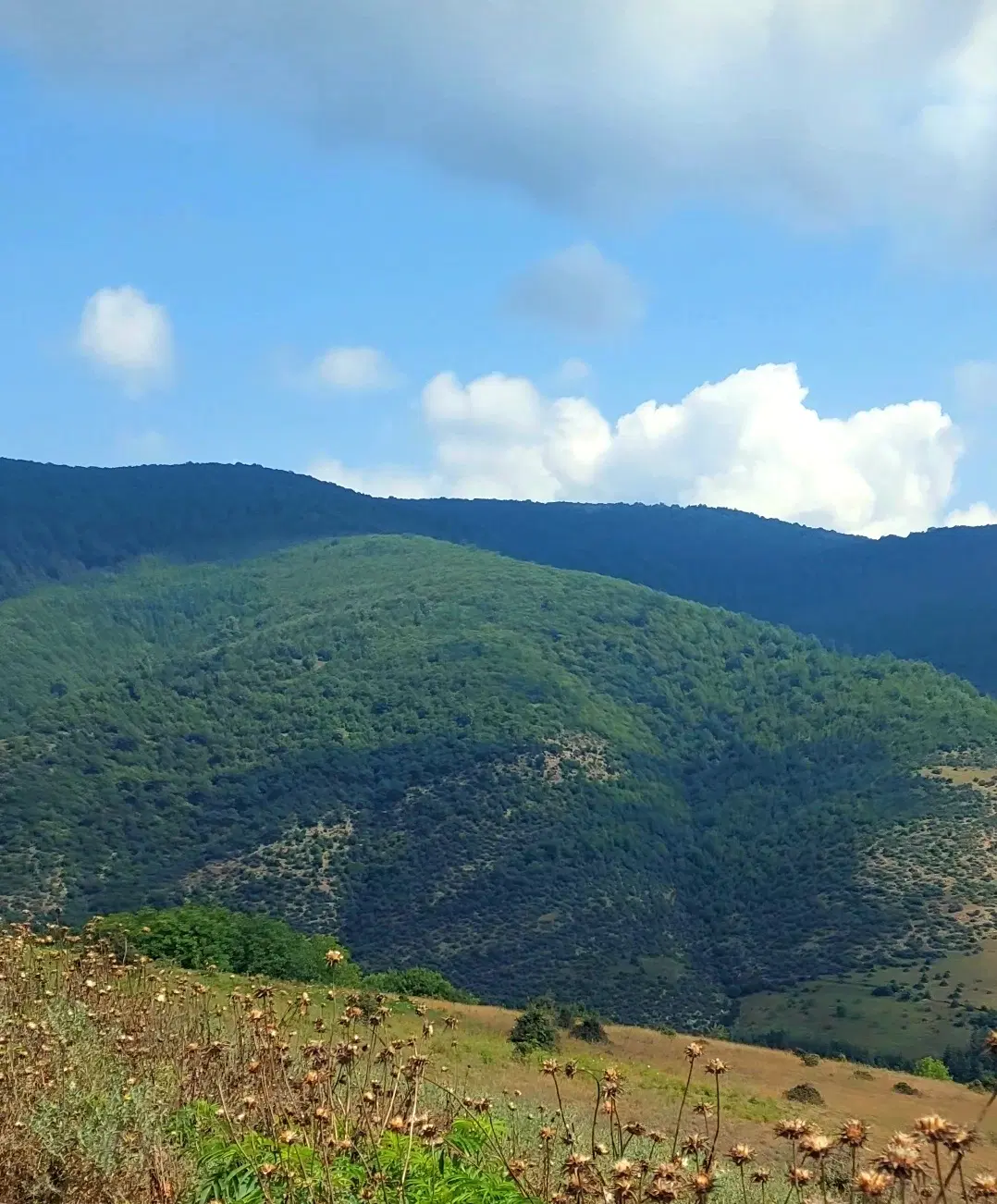 زمین جفت بافت نزدیک روستای سنگده ویودار