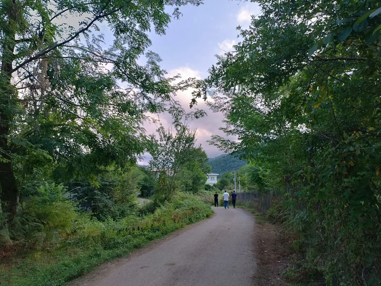 12 هزار متر خانه و محوطه روستایی فومن