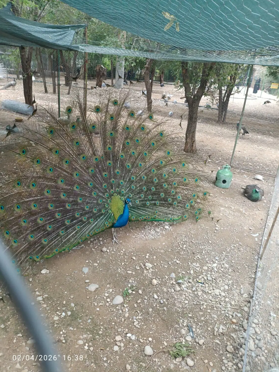 زمین  مسکونی شهرک زراعی شمس آباد