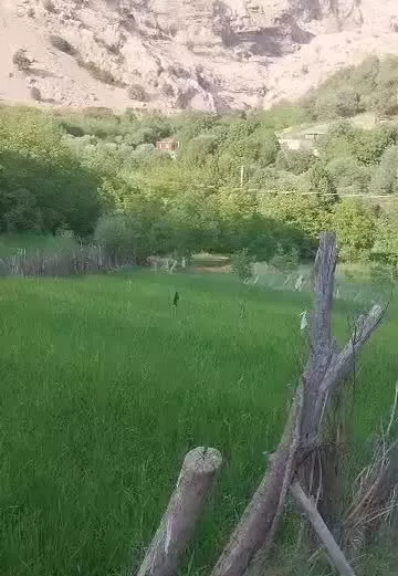 زمین برنج کاری یا طرح پرورش ماهی یا باغ گردش گری