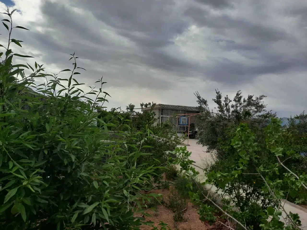 فروش زمین دی 3