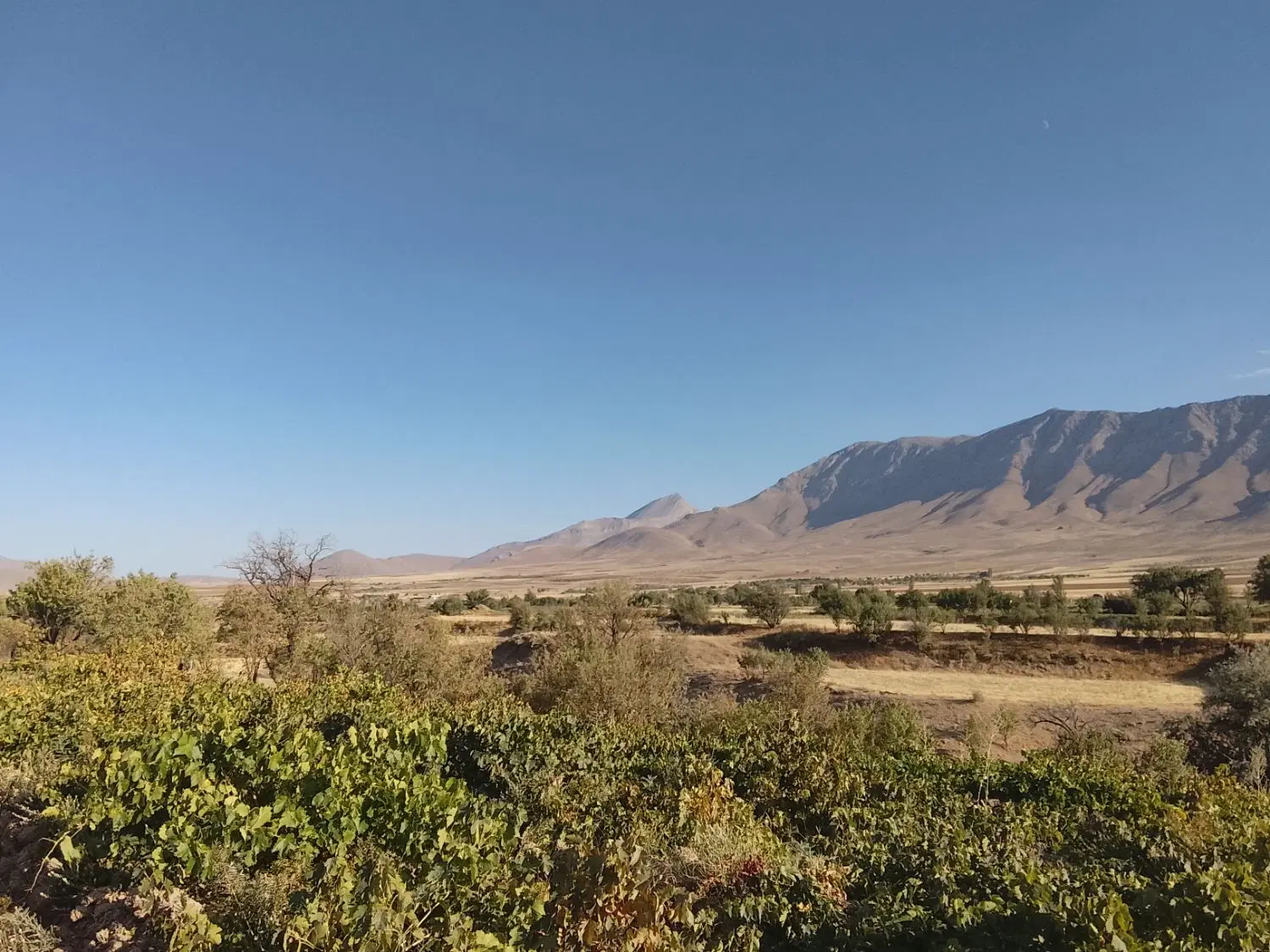 باغ در روستای عکس اباد بفروش میرسد