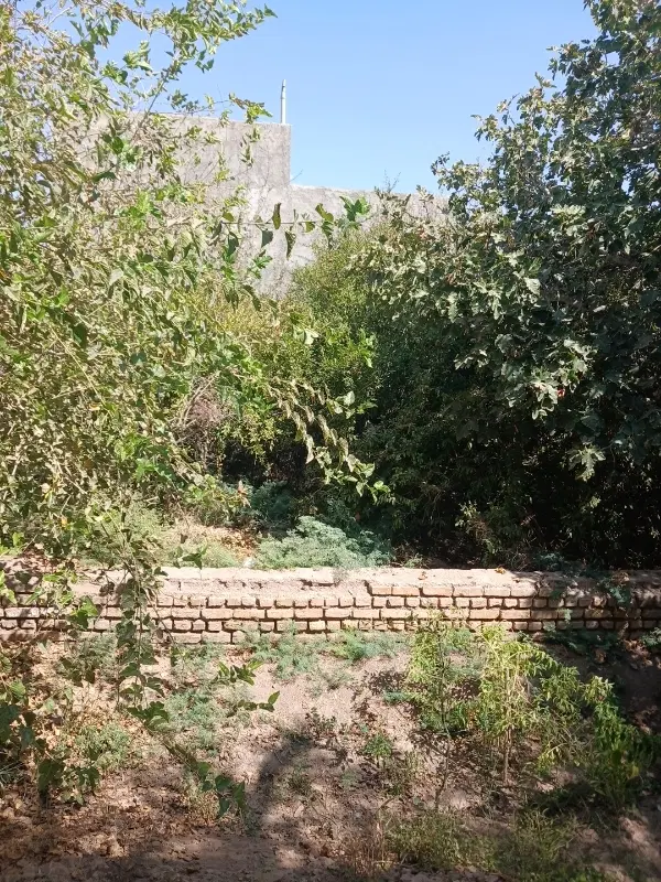 مورد اجاره خانه