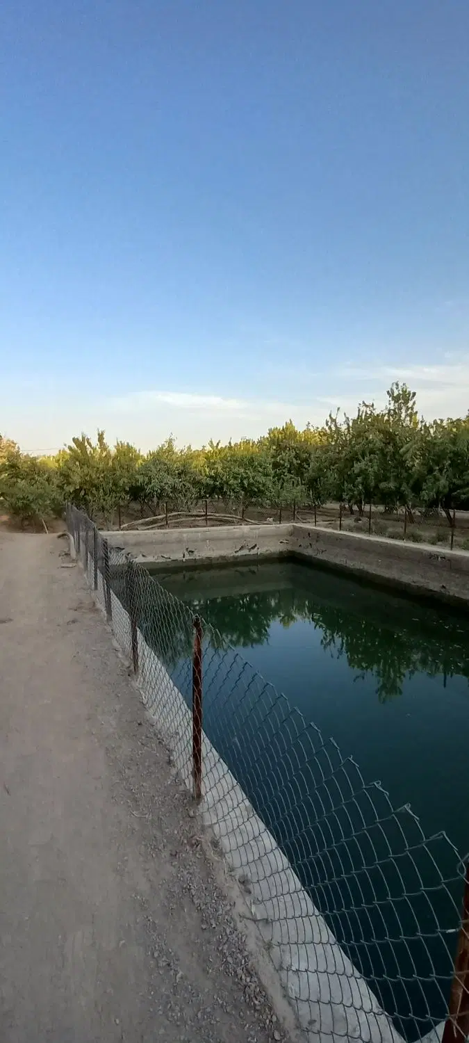 ۵هزارمتر باغ درقلعه سفید نجف اباد