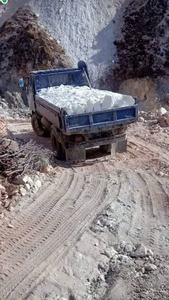 فیش نورپران