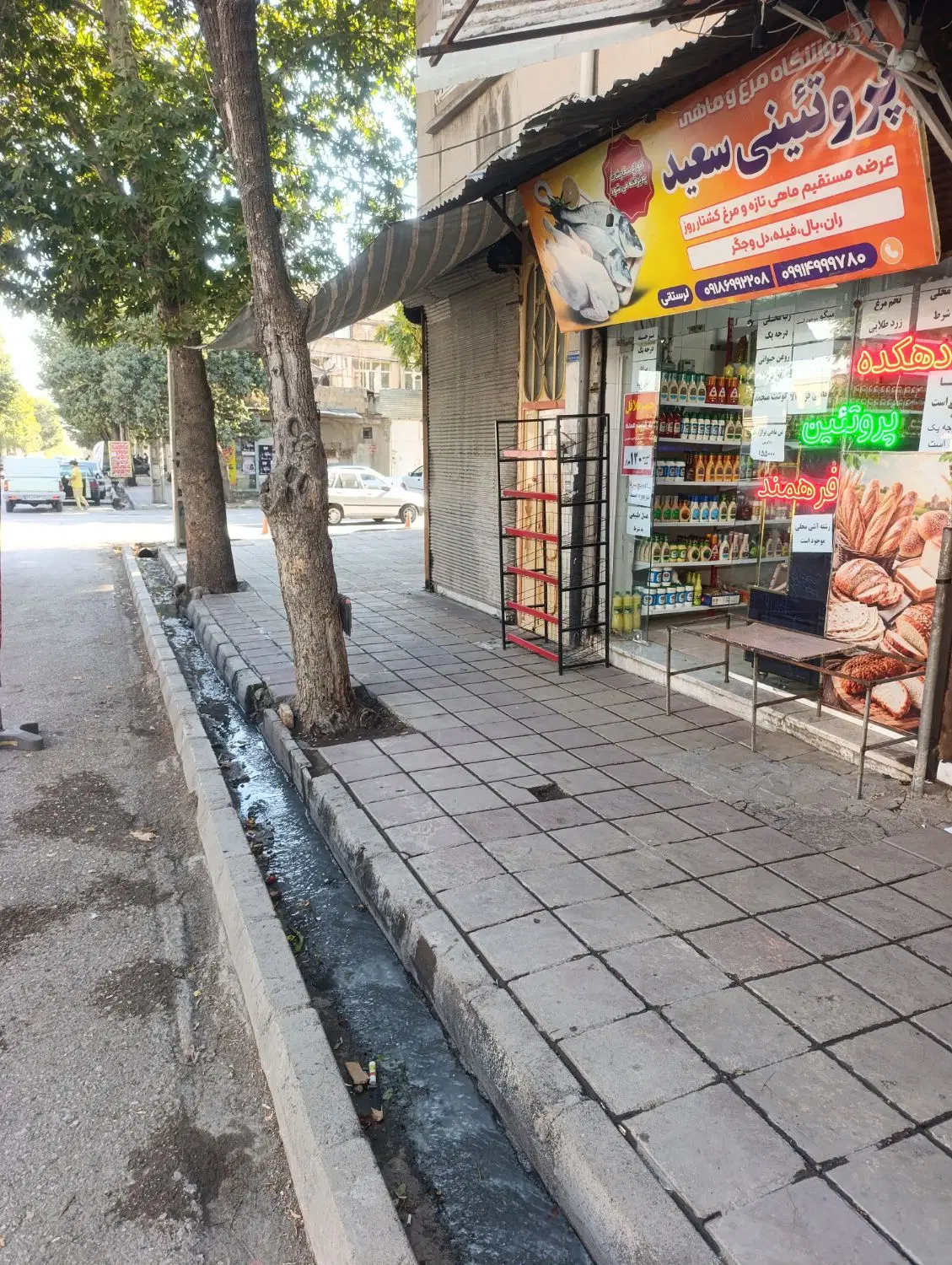 واگذاری  کامل مغازه پروتئینی