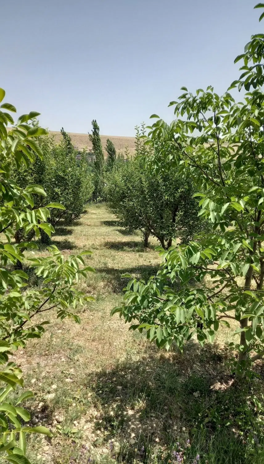 باغ فروشی فیروزکوه،روستای نام آور