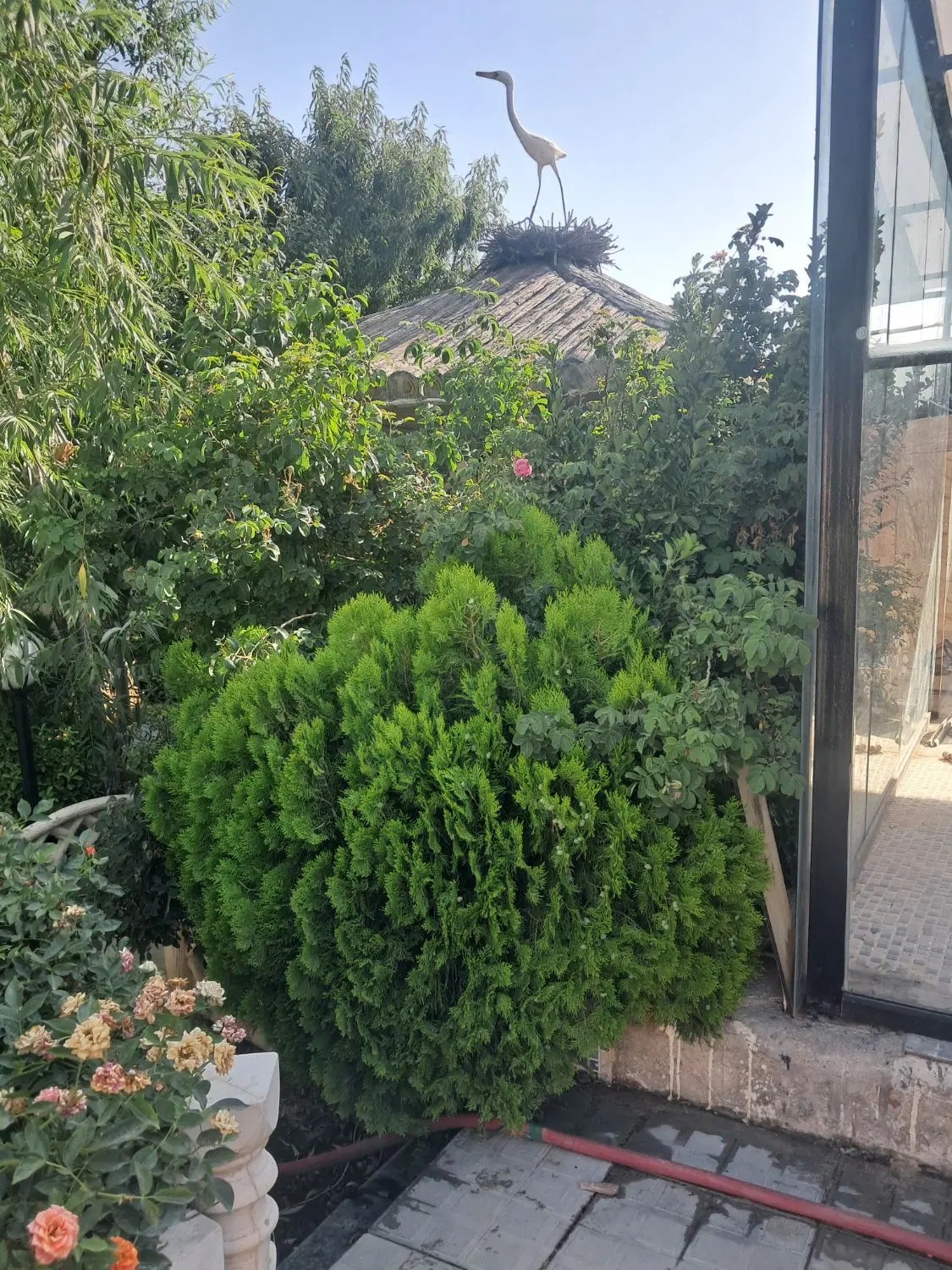 باغ جاده قدیم فروش فوری
