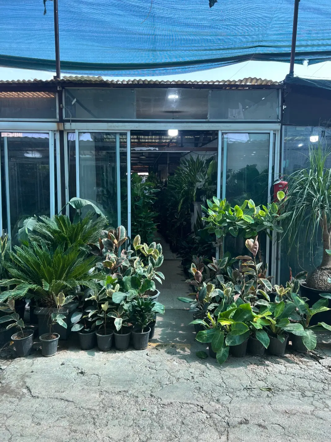 غرفه در بازار گل محلاتی اجاره ای