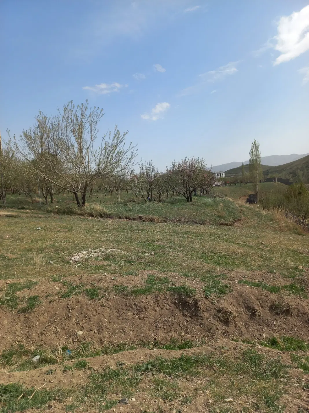 ۵۰۰ فروش زمین در ابسرد مرانک ( معاوضه با خودرو)
