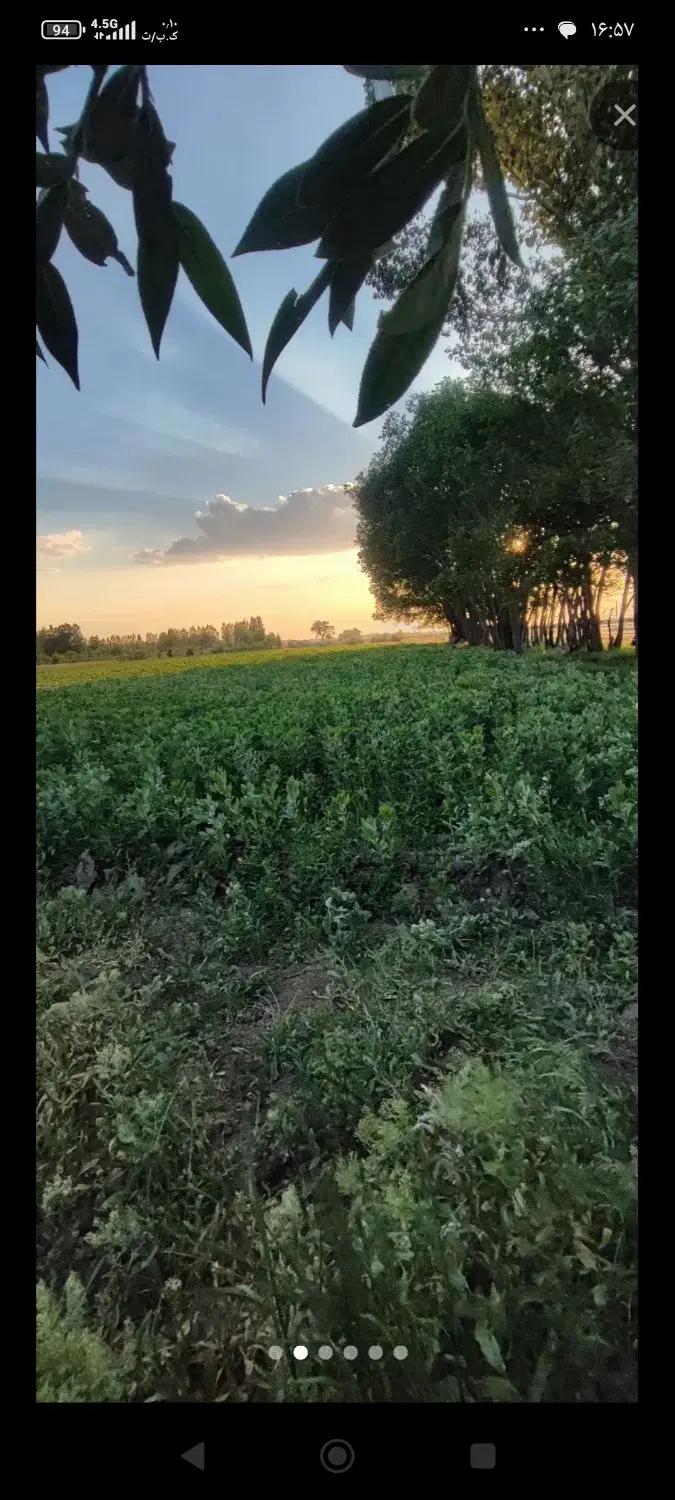 زمین کشاورزی نه هزار متر