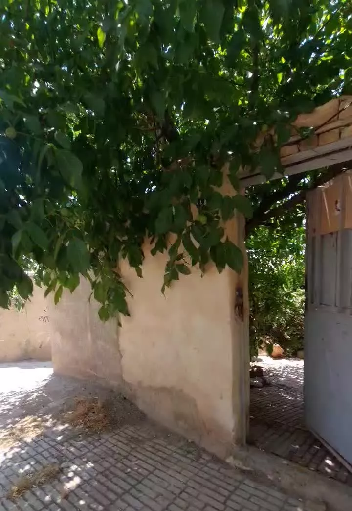 آبسرد دو طبقه با سه تجاری فقط پول زمین میدی