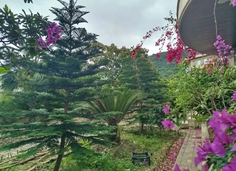ویلای استخردار ۳ خوابه چالوس