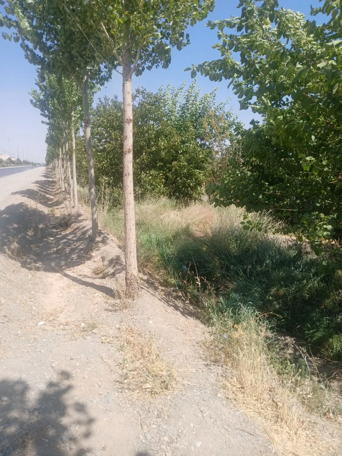 ۱۰۰۰‌متر‌.زمین‌کشاورزی‌.بر‌جاده‌کوچری‌.