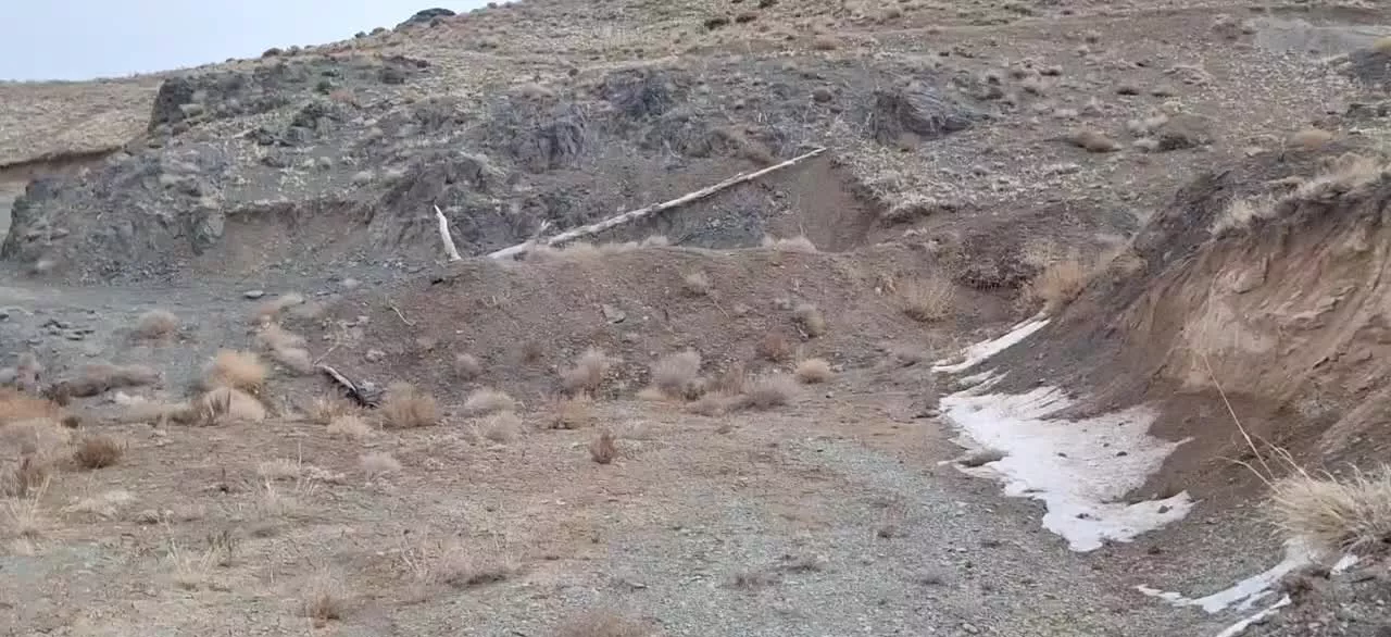 چشمه دربست فروشی