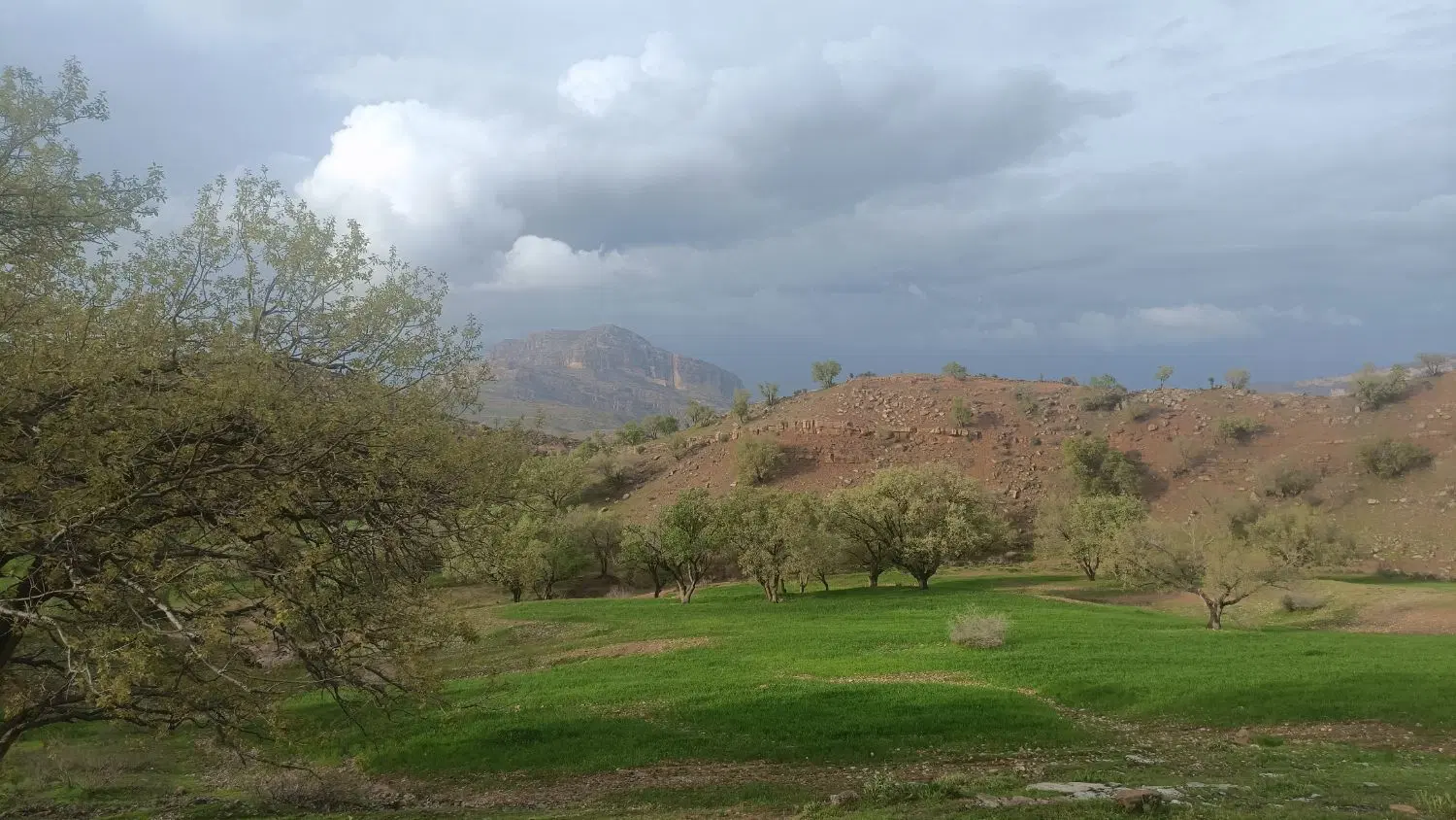 فروش زمین 92متری
