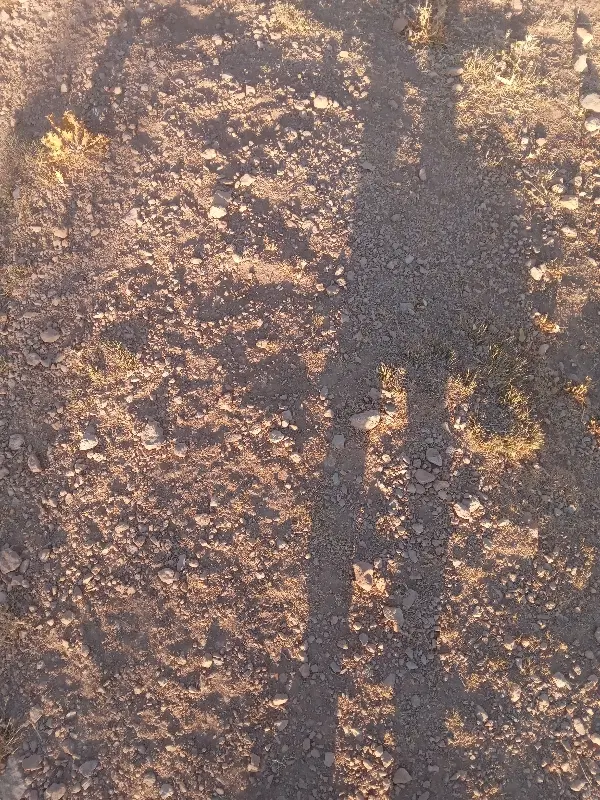 زمین باغی ۳جریب۳۰۰۰متر