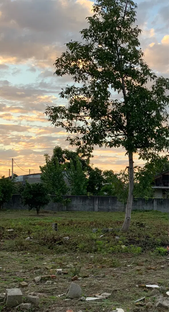 زمین مسکونی به متراژ ۵۱۷ متر